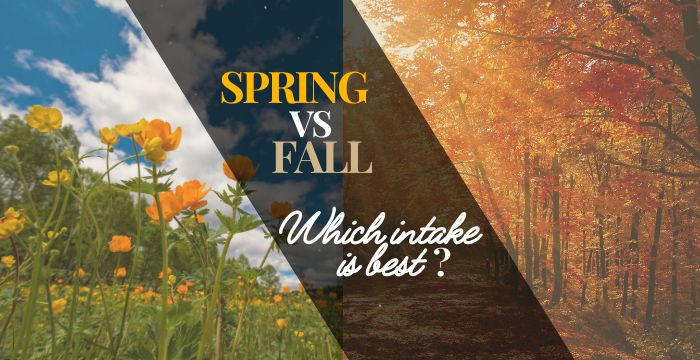 Spring Vs Fall Intake: Which intake is best?